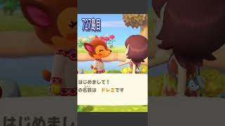 🔵【あつ森】究極の選択 😭まさかの結末#離島ガチャ #あつ森