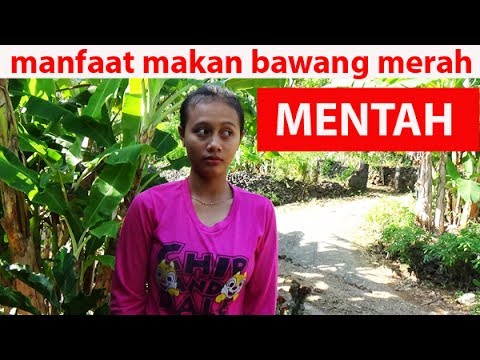 Setiap anggota panjang kecil Bagus kontol kecil mengisap