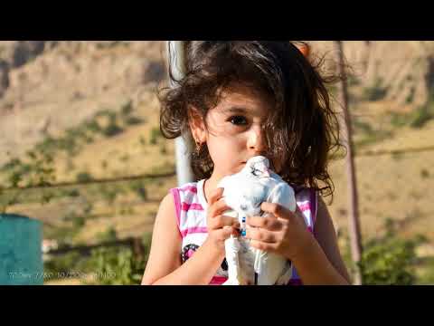 download lagu mp3 mp4 Nikon D7000 Sample Photos, download lagu Nikon D7000 Sample Photos gratis, unduh video klip Nikon D7000 Sample Photos