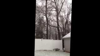 Snow video for Tiffany. You are kinda lucky you don&#39;t get any, but I would miss it.