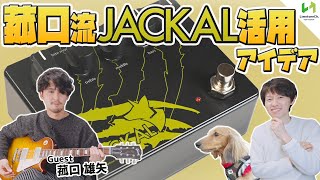 Limetone Audio ( ライムトーン オーディオ ) JACKAL 送料無料 Limetone Audio ( ライムトーン オーディオ ) JACKAL 送料無料