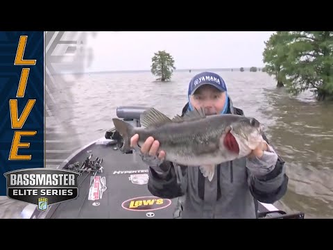 SANTEE COOPER: Menendez starts Championship Sunday with two giant bass to take lead