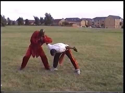 Northern Praying Mantis Kung Fu video.