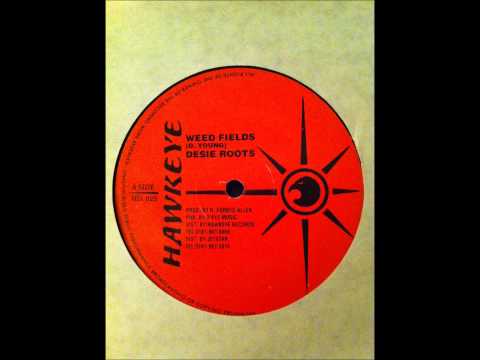 Desi Roots - Weed Fields