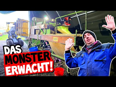 Brought back to life after YEARS! | Sorting potatoes with a potato sorting machine | Samro Mr. Moto