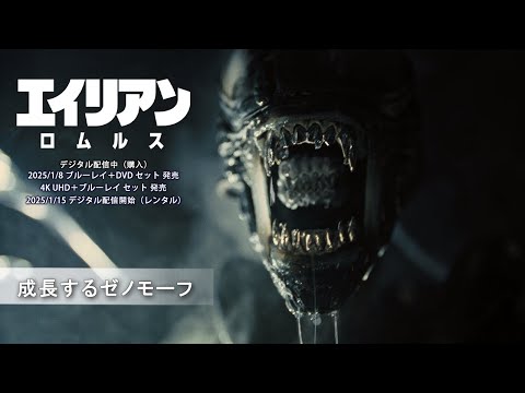 成長するゼノモーフ（字幕版）