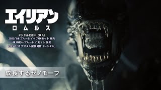 成長するゼノモーフ(字幕版)