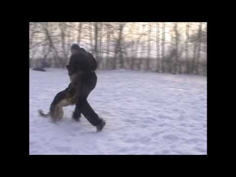 Hard Eqidius 24.1.2010