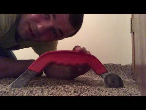 download lagu mp3 mp4 Roberts Carpet Tools Uk, download lagu Roberts Carpet Tools Uk gratis, unduh video klip Roberts Carpet Tools Uk