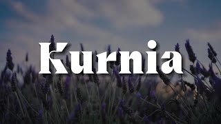 Download lagu Kurnia (Lirik)  - Slam,  Rahmat,  Eye mp3 Download lagu Kurnia (Lirik)  - Slam,  Rahmat,  Eye mp3