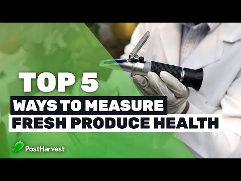 Top 5 Ways to Measure Fresh Produce Health