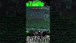 Download lagu BCS PSS SLEMAN #shorts #pss #bcs mp3