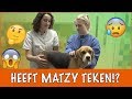 Heeft Matzy teken!? | DierenpraatTV