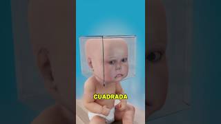 Puede Volverse Cuadrada La Cabeza Bebé😨
