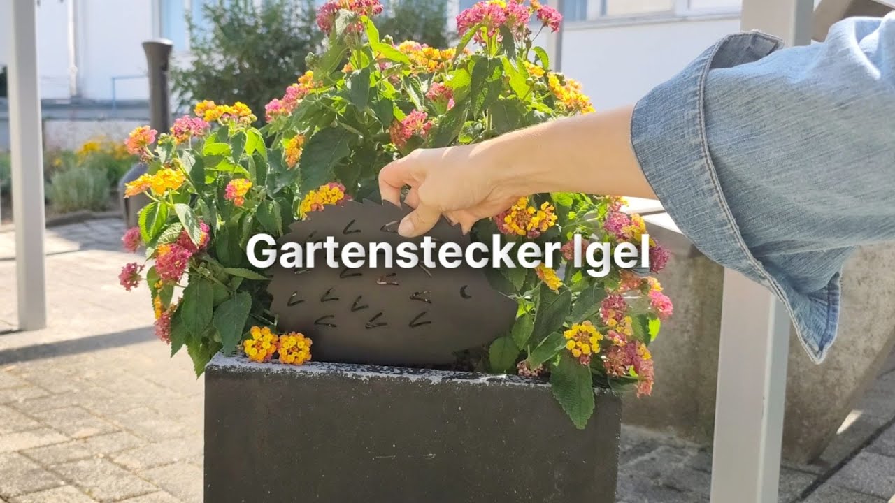 Gartenstecker | Igel | Schwarz Video