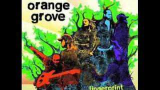 Orange Grove - White Daisy