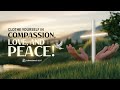 "Colossians 3:12-17 – A Call to Unity and Gratitude"|Bible Verse|Motivational Bible stories|Jesus