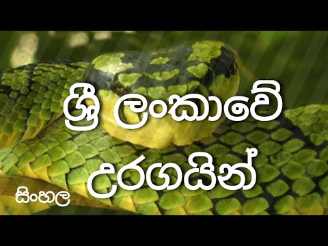 sri lanka uragain