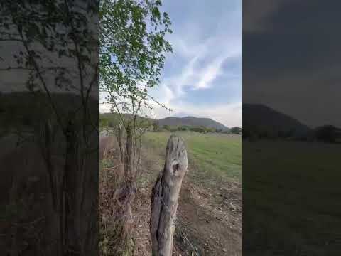 Desde el Rosario Río Hondo Zacapa Guatemala