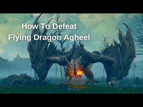 How To Defeat Flying Dragon Agheel and Obtain Dragon Heart