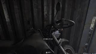 BIOHAZARD9 続きやる