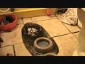 How to install a toilet: setting the wax ring(s ...