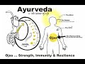 OJAS ~ Āyurveda Concept Of Immunity, Strength & Resilience