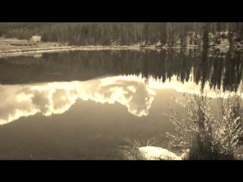 Free Verse-Literary Term