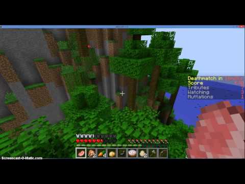 Minecraft Hunger Games 24: That breeze on the NEXUS