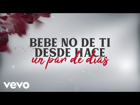 Yomo - No Se De Ti (Lyric Video)