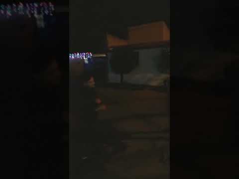 Javali vs manzanillo