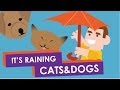 Why do we say: It's Raining Cats and Dogs?