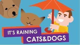 Why do we say: It&#39;s Raining Cats and Dogs?