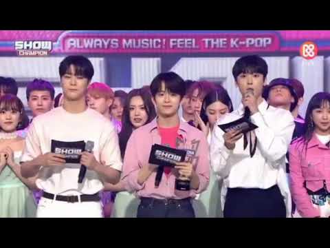 Twice  More & More  1st win ( show champion)