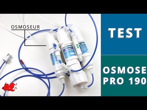 Watch Video on YouTube