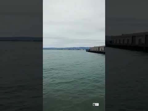 San Francisco Restaurant by Port 39