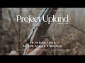 The AYA No 2 Sidelock Shotgun A Look At Aguirre Y Aranzabal Fine Guns