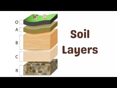 Soil Horizons Explained