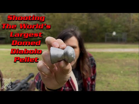 Shooting the World's Largest Domed Diabolo Pellet