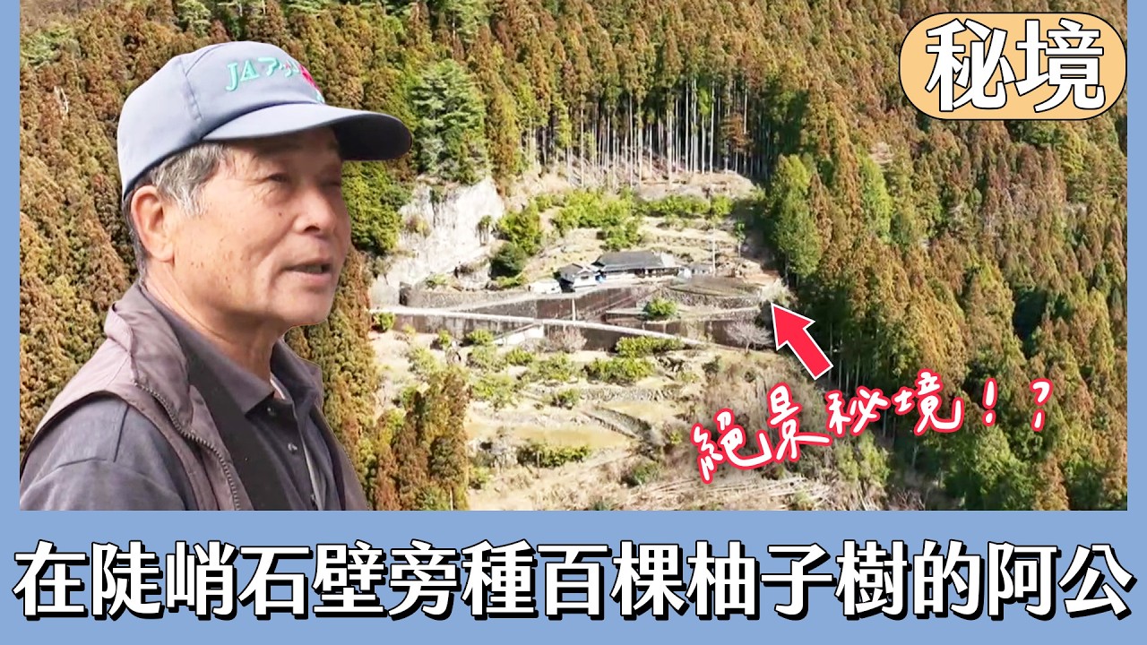 在陡峭石壁旁種上百棵柚子樹的阿公【日本秘境有房好吃驚】
