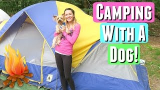 GOING CAMPING WITH A DOG!