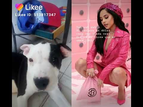 Azeneth😇😇😇😍😍😘😘😘🙋😺😺😺😺❤❤❤❤❤👏👏👏👋slxlsbf.  Azeneth