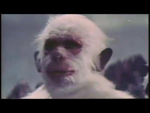 White Monkey vs Demon Ogre clip