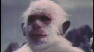 White Monkey vs Demon Ogre clip