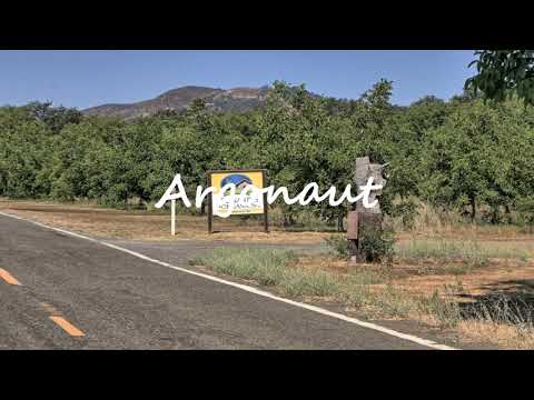 An Organic Walnut Orchard.