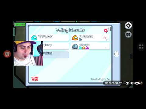 Piadina è ritornato