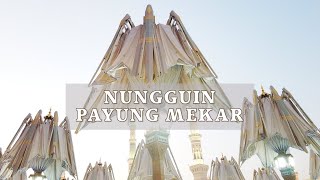 Download lagu NUNGGUIN PAYUNG MEKAR - SABAR hehehehe mp3 Download lagu NUNGGUIN PAYUNG MEKAR - SABAR hehehehe mp3