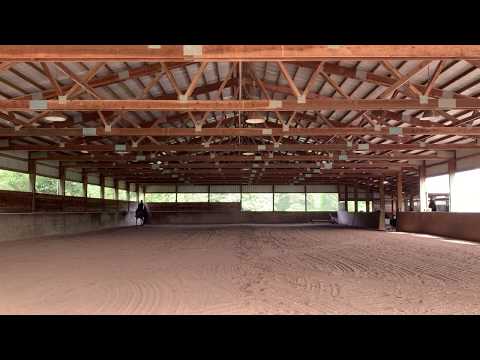 Lizann Dunegan & Miguel Intermediate A Working Equitation Test May 2020
