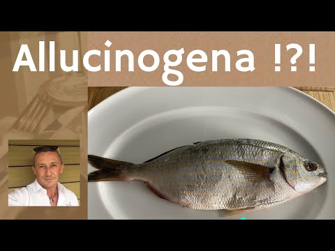 Come pulire e cucinare la Salpa : guida completa