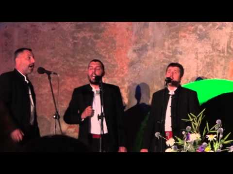 6. susret klapa u Sisku - klapa Petrada - Kad bi se moga rodit